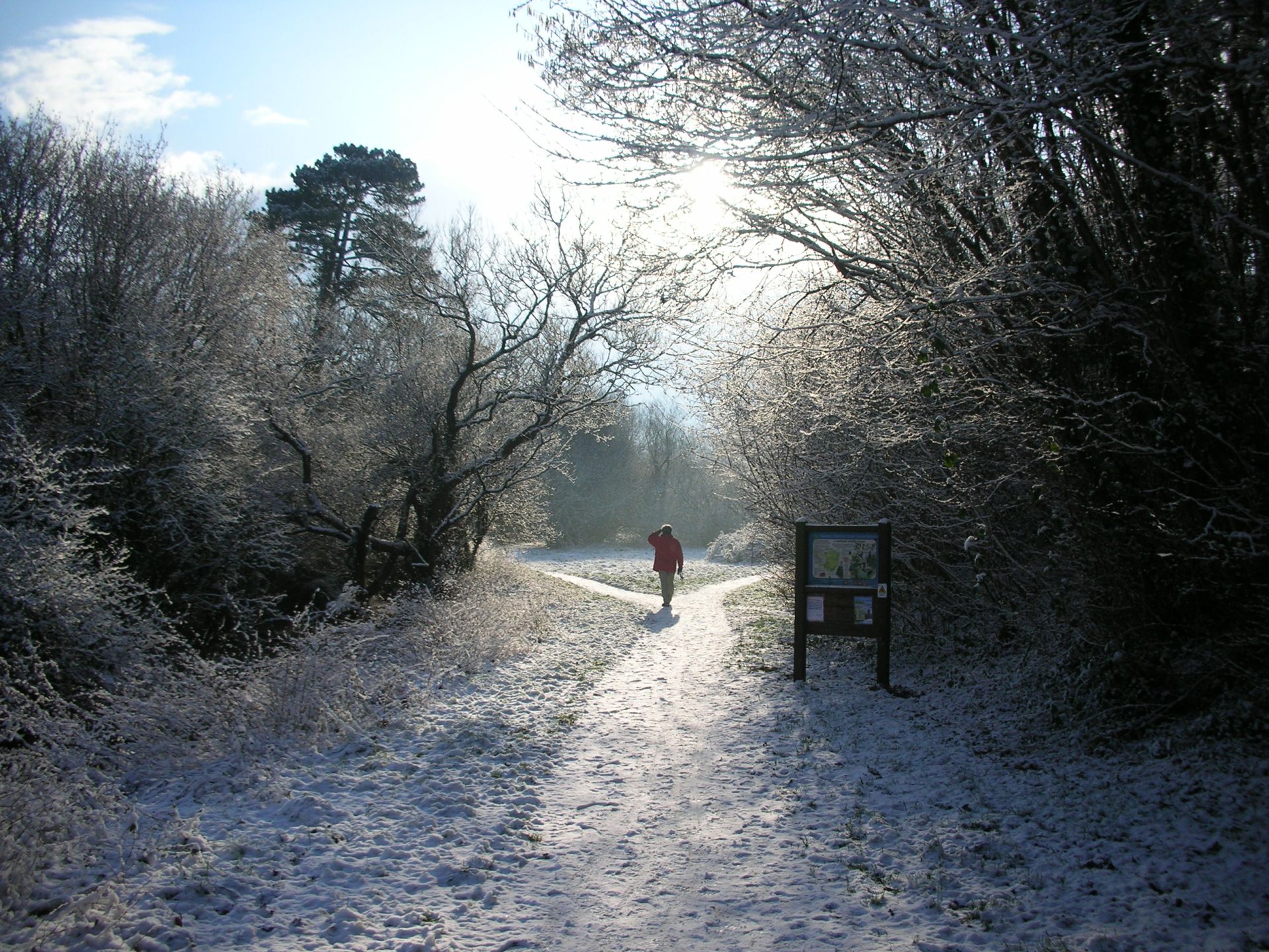 Snowy Walker at Hackney Marshes